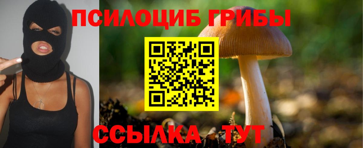 Псилоцибиновые грибы прущие грибы  Псилоцибиновые грибы мухоморы  Фурманов  Вход с VPN 